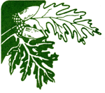 Santa Clarita Valley Committee on Aging Senior Center