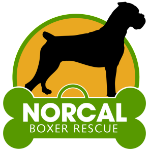 Norcal Boxer Rescue