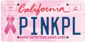 Pinkie Plate Foundation