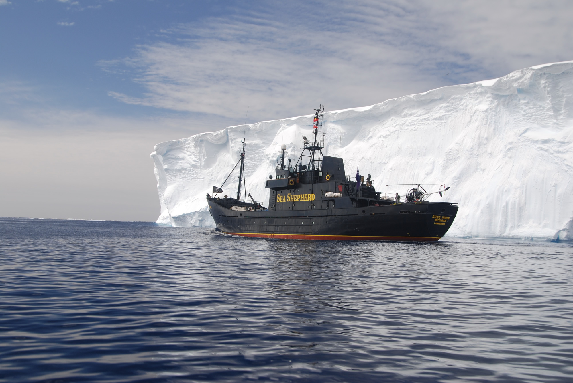 The Law Firm for Non-Profits - Sea Shepherd Conservation Society